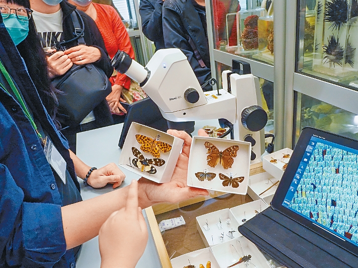 博物館的職員教大家辨別蝴蝶與飛蛾。