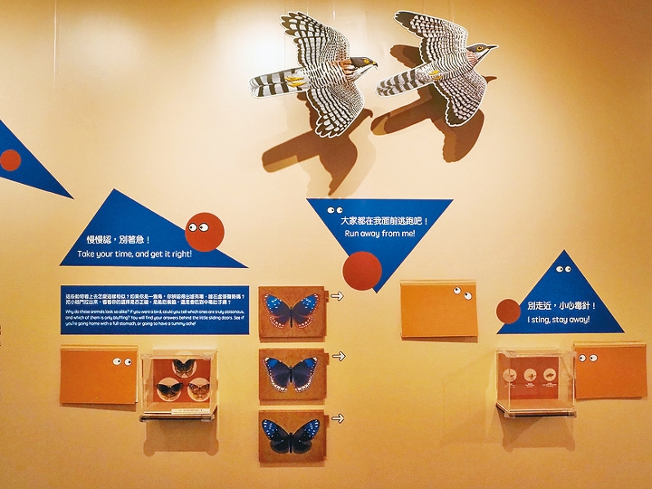 龍虎山環境教育中心現正舉行動物技能主題展。