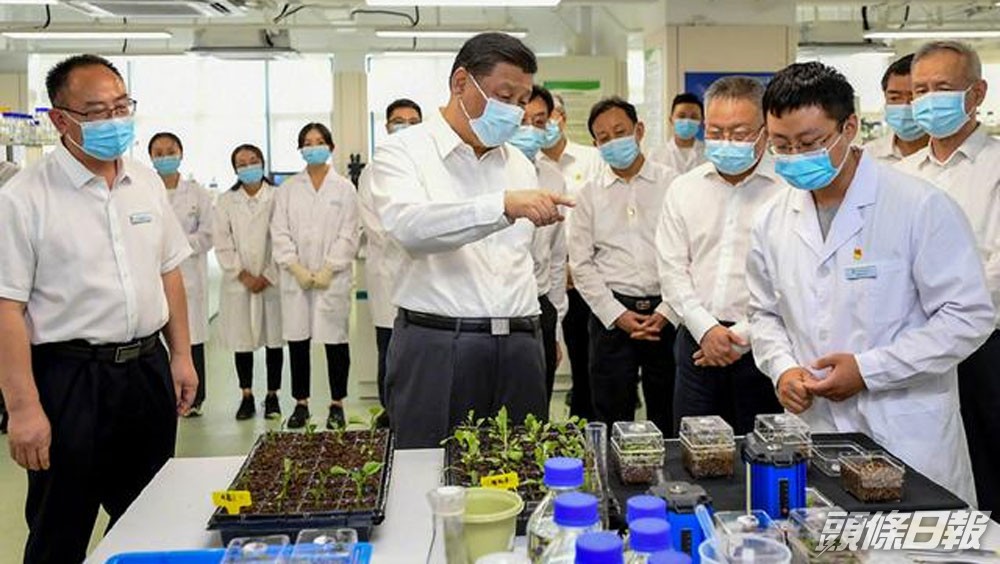 習近平正了解海南支持種業創新、發展海洋科技等情況。新華社圖片