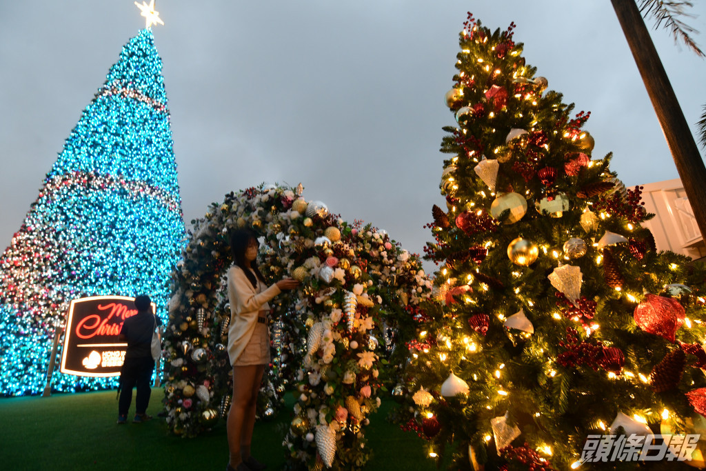 巨型聖誕樹高逾20米、相等於逾6層樓高。伍明輝攝