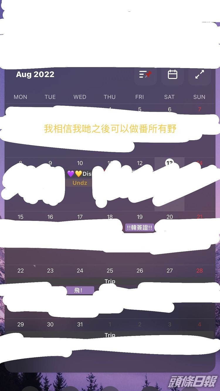 So Ching上載一張8月事曆截圖，2人原計劃8月一齊去韓國旅行。