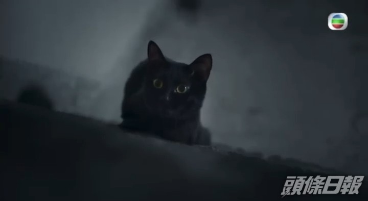 我要睇靚寶呀。