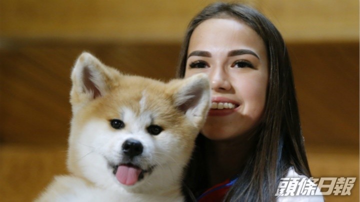 安倍晉三遇刺 任內推 秋田犬外交 對俄展軟實力為普京 選婿 遭拒 頭條日報