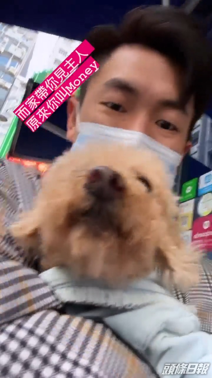 及後馬貫東表示已為狗仔尋回主人，又指牠名叫Money。