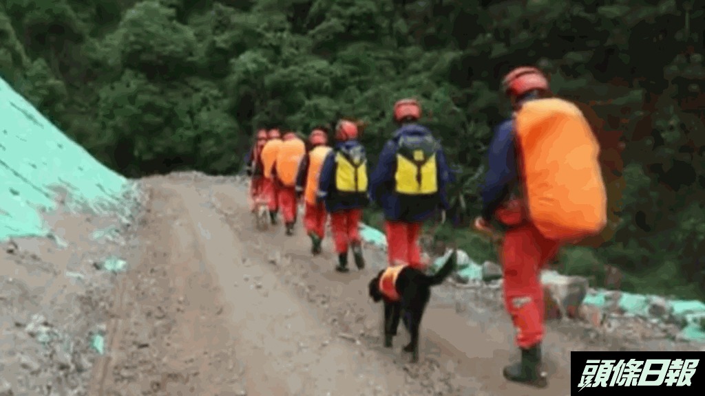 救援人員帶同搜索犬入山搜索。網圖