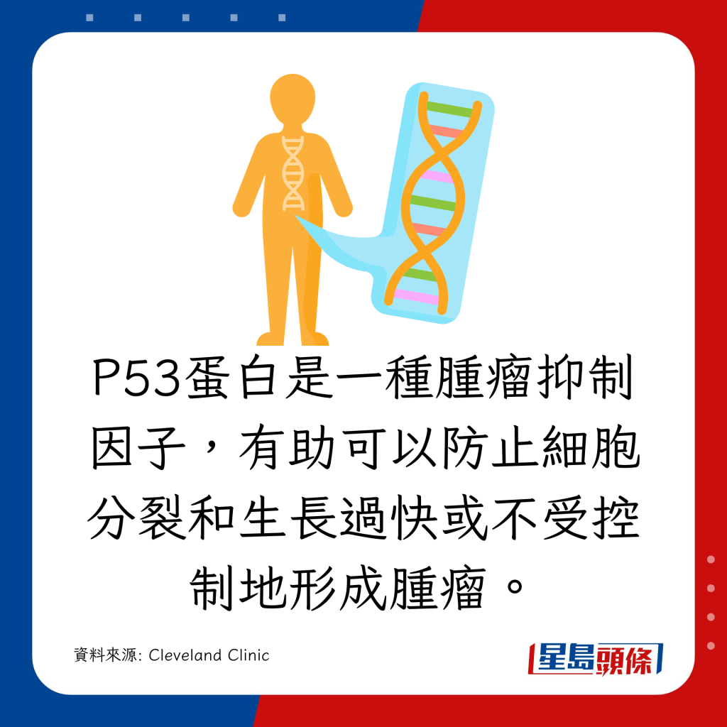 P53蛋白是一種腫瘤抑制因子
