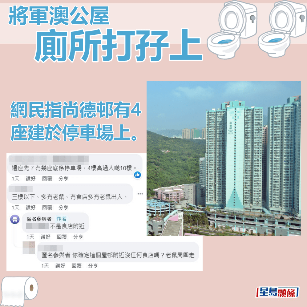网民指尚德邨有4座建于停车场上。fb「公屋讨论区 - 香港facebook群组」截图及资料图片