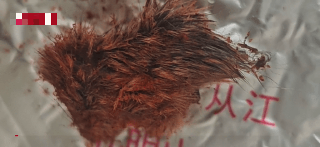 消費者稱網購辣椒麵疑吃出「鼠頭」,還有很多毛。 消費者稱網購辣椒麵疑吃出「鼠頭」,還有很多毛。