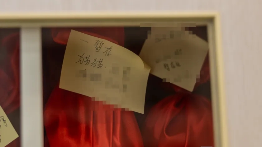 成都永新无害化处置有限公司暂存的火化后的宠物骨灰。 封面新闻