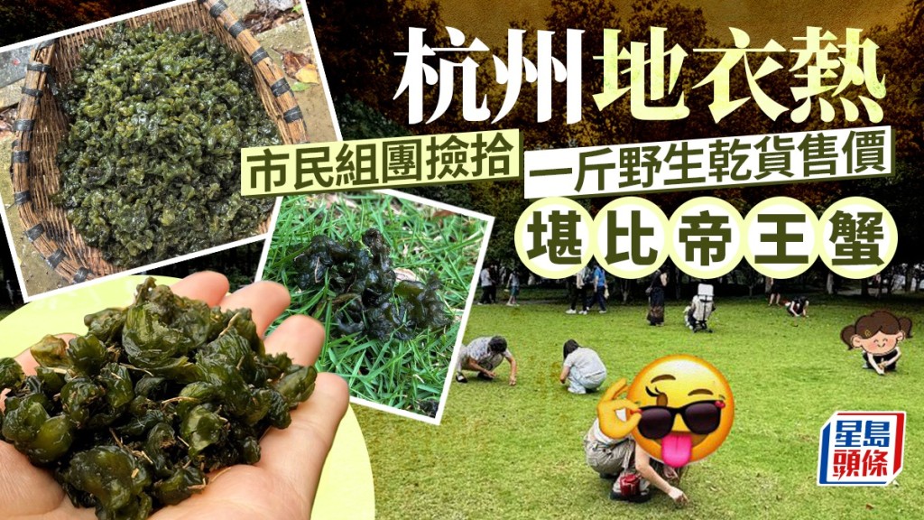 杭州雨後市民組團撿拾地衣 野生乾貨一斤賣349元堪比帝王蟹。微博/@我欲隱居山林間