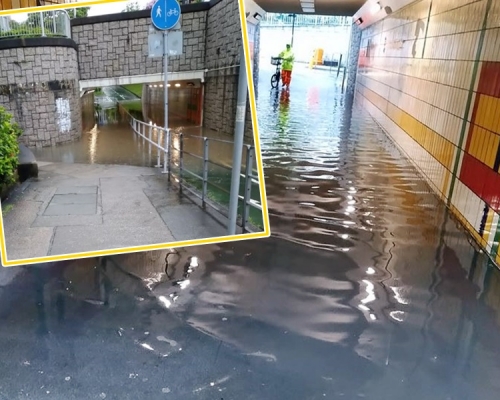 fb「Tai Po 大埔」網民Ying Ying圖片