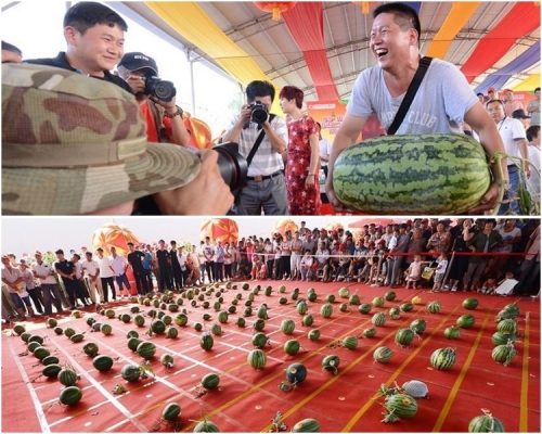 參賽者抱著大西瓜比拼。新華社