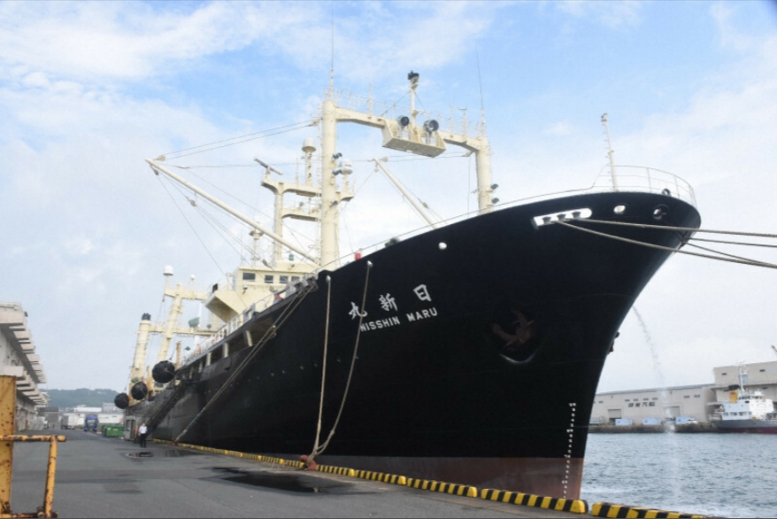 捕鯨母船「日新丸」。 網圖