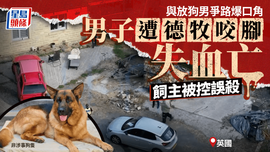 英國兩男爭路爆口角 5旬漢遭牧羊犬咬腳失血亡 放狗男被控誤殺