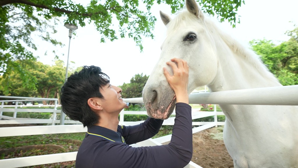 張馳豪「馬房助理」 張馳豪「馬房助理」