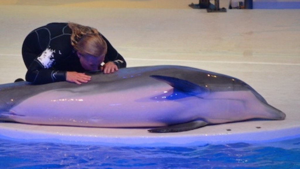 瑞典科爾馬登動物園最年長海豚涅斐勒，誤食美化環境的人工海藻鯁死。@Dolphin_Project 