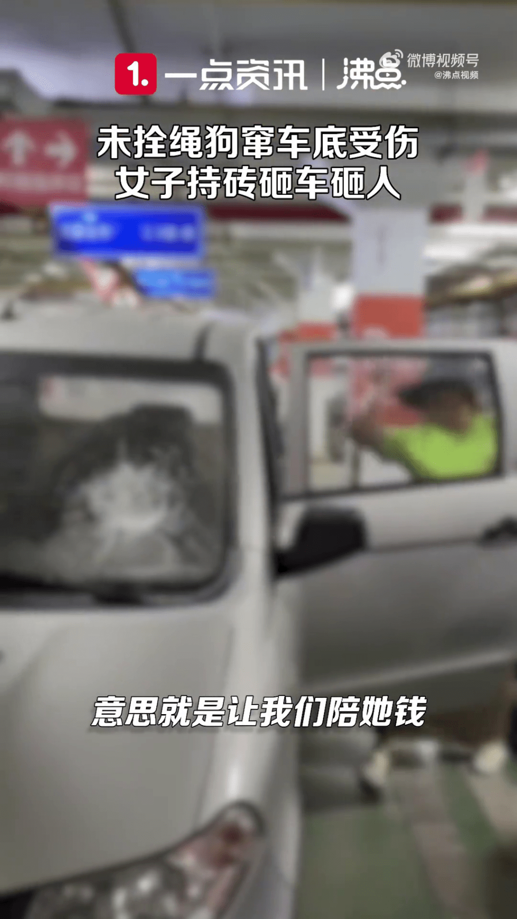 女狗主打開車門將車窗打碎。