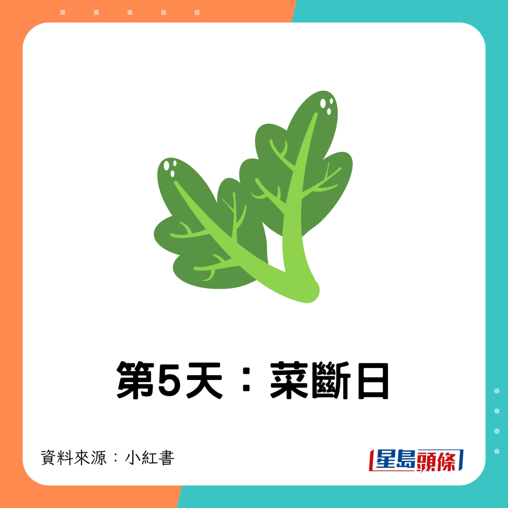 第5天：菜斷日