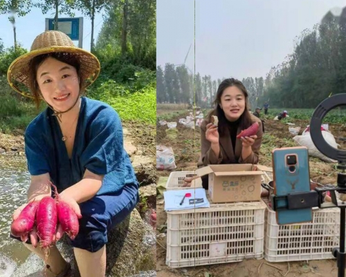 曾擔任記者的劉朝麗轉行賣番薯。 （網上圖片）