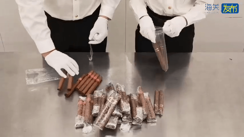 北上「水貨客」福田口岸被截查,褲檔藏48支雪茄。 北上「水貨客」福田口岸被截查,褲檔藏48支雪茄。