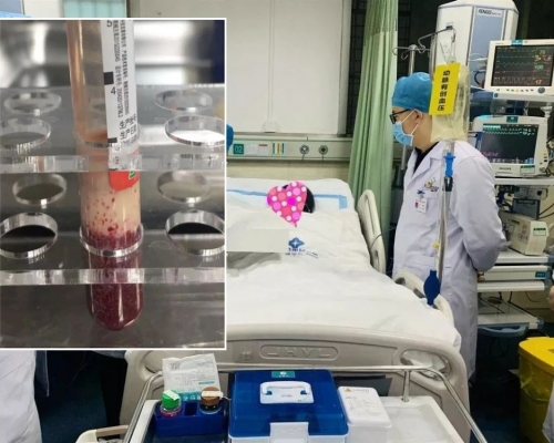 長期過量喝奶茶,22歲女教師腹痛昏迷入ICU抽出牛奶血。
