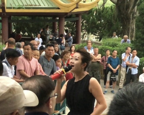 多區公園都有團體唱歌跳舞造成噪音。資料圖片
