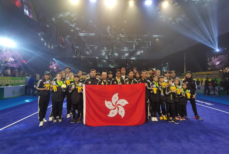 港队于世青赛取得五金五银八铜佳绩。香港武术联会图片