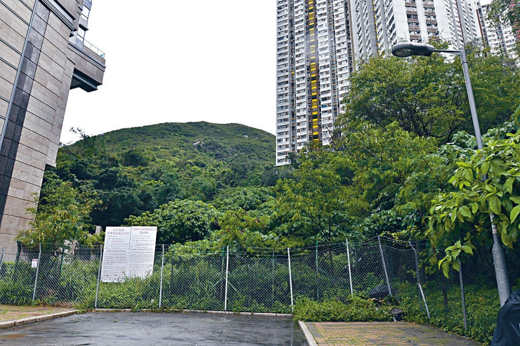 大昌李永修稱，鴨脷洲地皮投資額約20億，主力發展中小型單位。