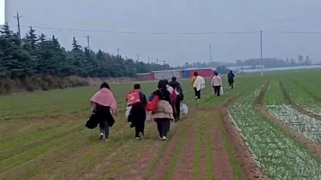 鄭州富士康工人為「逃疫」徒步返鄉。網圖