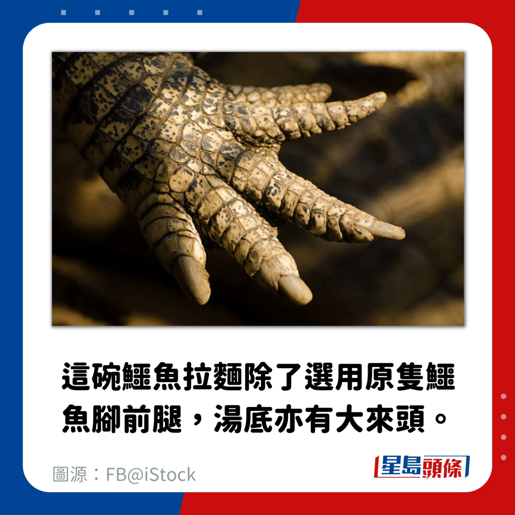 這碗鱷魚拉麵除了選用原隻鱷魚腳前腿，湯底亦有大來頭。