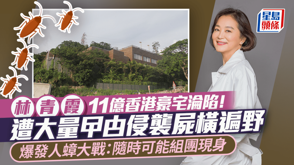 林青霞11億香港豪宅淪陷！遭大量曱甴侵襲屍橫遍野  爆發人蟑大戰：隨時可能組團現身