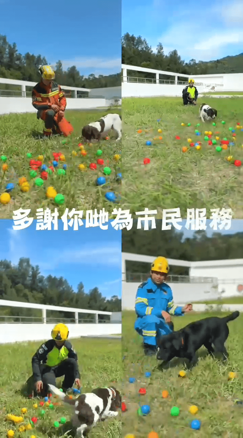 4隻消防犬退役。