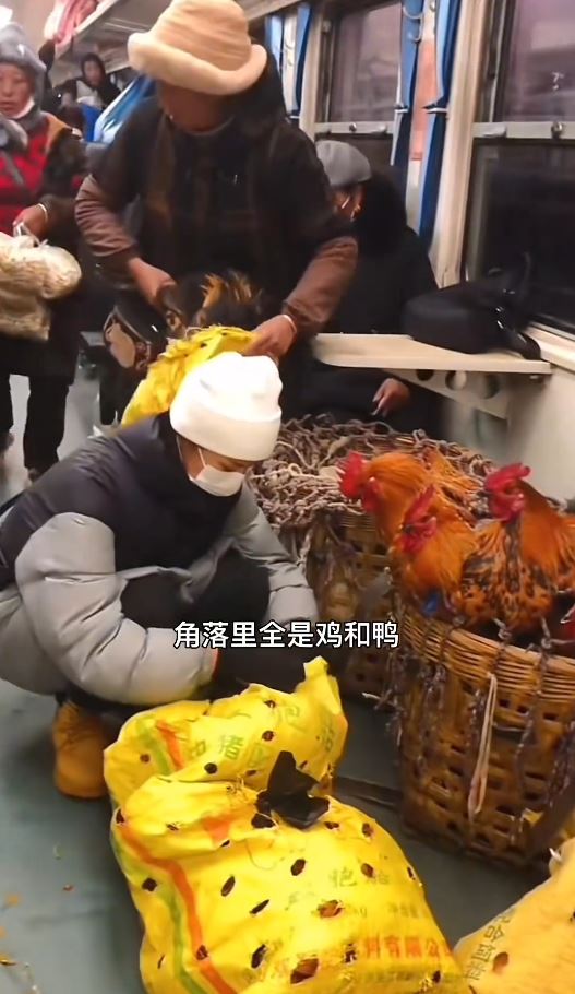 涼山彝族的公益列車設有牲畜專用車廂。抖音@林熙（五十六民族傳統服飾）