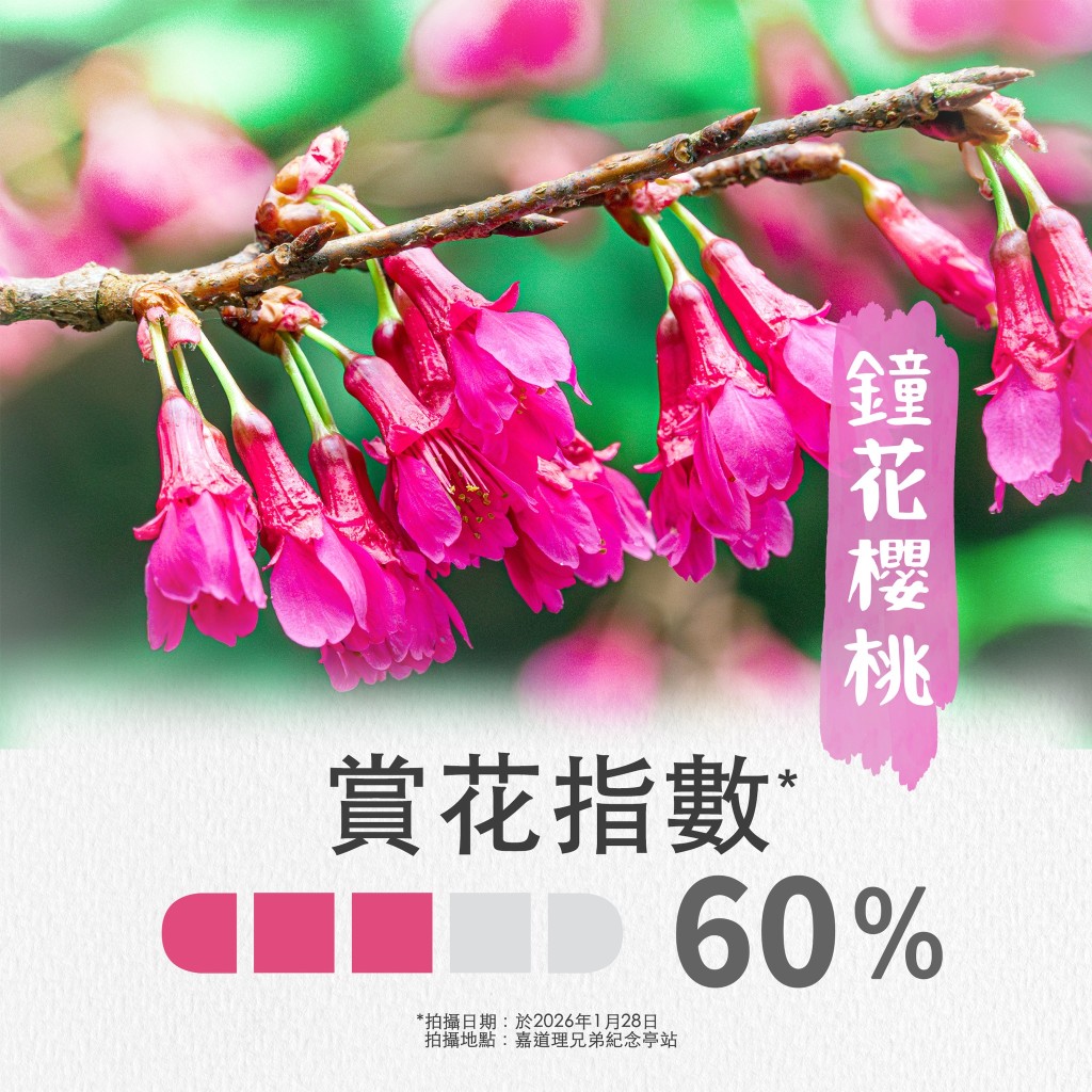 （圖片來源：受訪者提供）