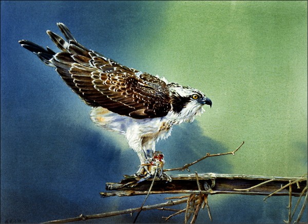 台湾画家杨恩生作品。