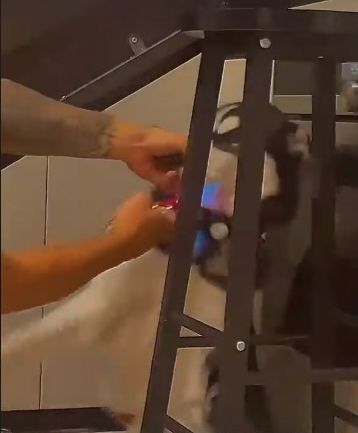 網上圖片