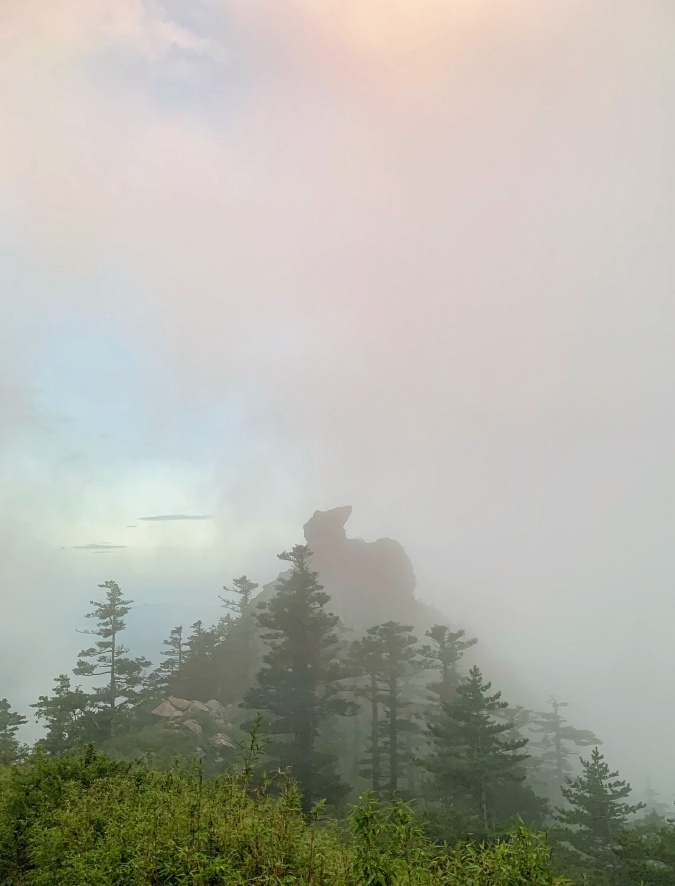 秦嶺冰晶頂的雲海美景吸引不少山友。(朱雀國家森林公園)