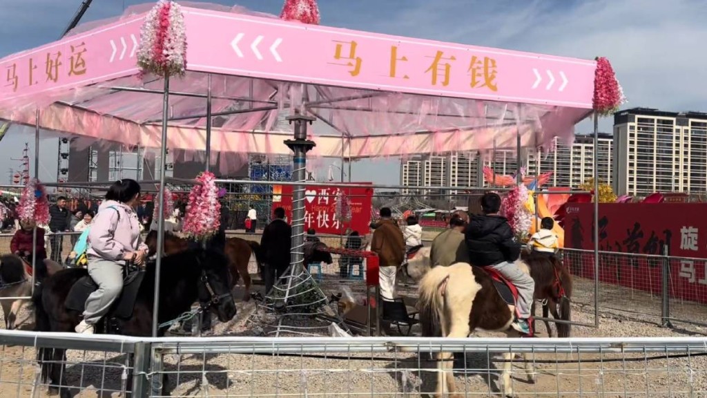 西安有遊樂場推出「旋轉活馬」項目引起虐畜爭論。抖音@大虎妞吖