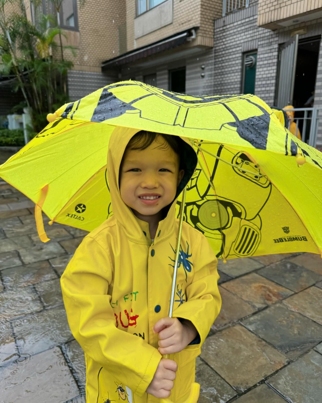 胡杏儿三名儿子下雨天外出，大家都穿上防雨衣物及撑雨伞。