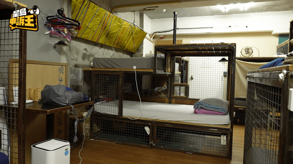 記者預約的是10床混合宿舍間的1個床位，床位圍繞著鐵絲網。