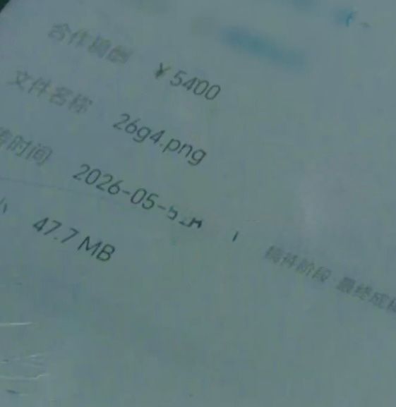 女孩用過最多錢(人民幣5400元）買的畫。小莉幫忙