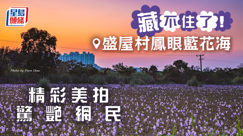 網民在盛屋村拍得美景。網民Flora Chau圖片