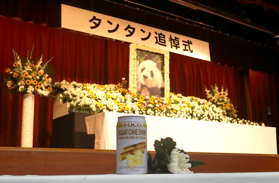 日本为旅日大熊猫「旦旦」举行追悼会。 twitter@arai_recruit