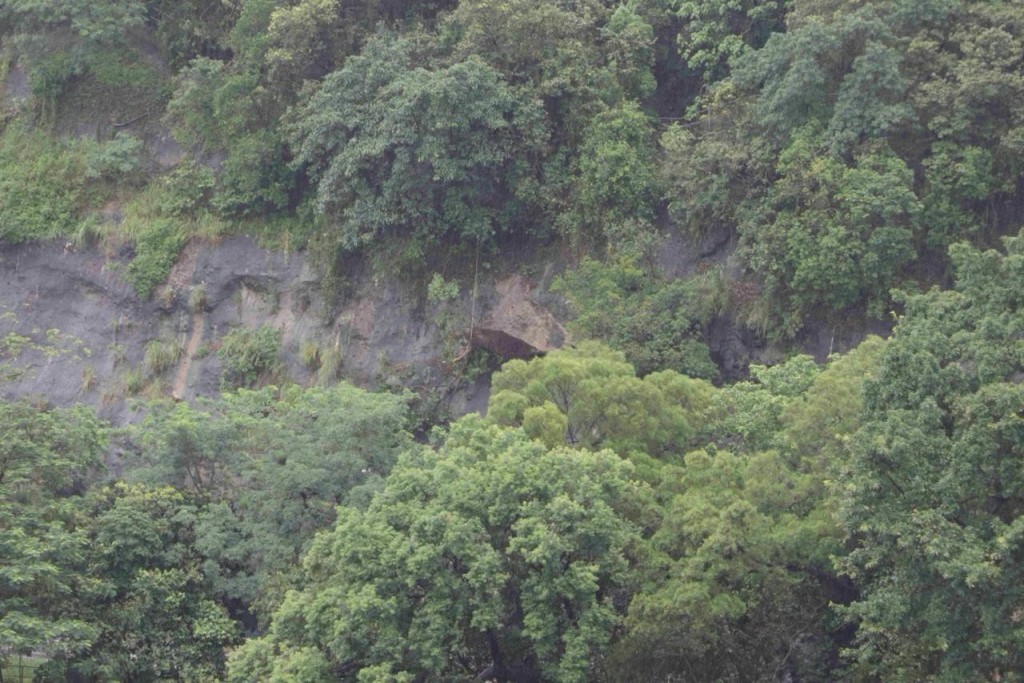青山公路葵涌段發生山泥傾瀉。FB「土力場」圖片 青山公路葵涌段發生山泥傾瀉。FB「土力場」圖片