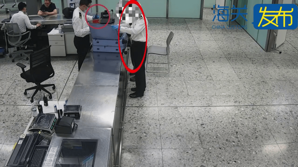 西九高鐵入境內地，男子行李傳刺鼻異味，關員揭「大麻扮茶葉」。 海關發佈