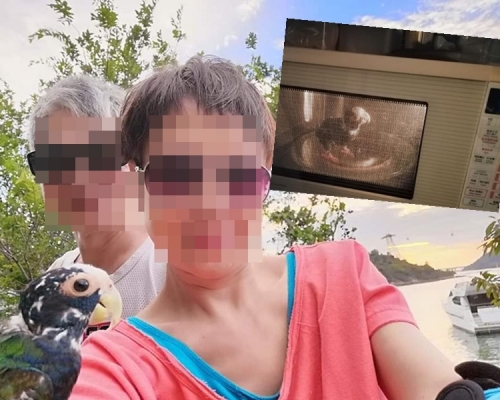 婦人涉將鸚鵡放微波爐，CID探員登門欲帶走鸚鵡遭拒。網上圖片