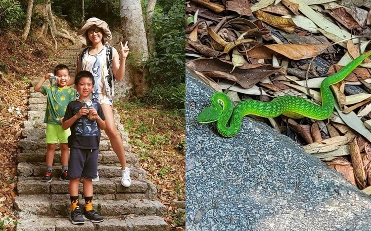 陳茵媺好鍾意同子女行山,仲喺南丫島遇到青色蛇。