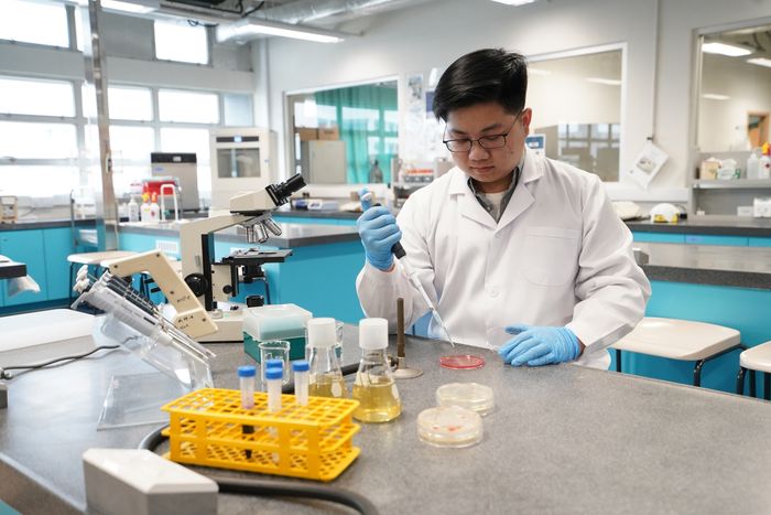 IVE生物科技高級文憑畢業生何耀忠指,團隊提取泥土中真菌的DNA,再利用分子生物技術複製並檢測DNA的序列,從而分析存在泥土中的真菌品種。