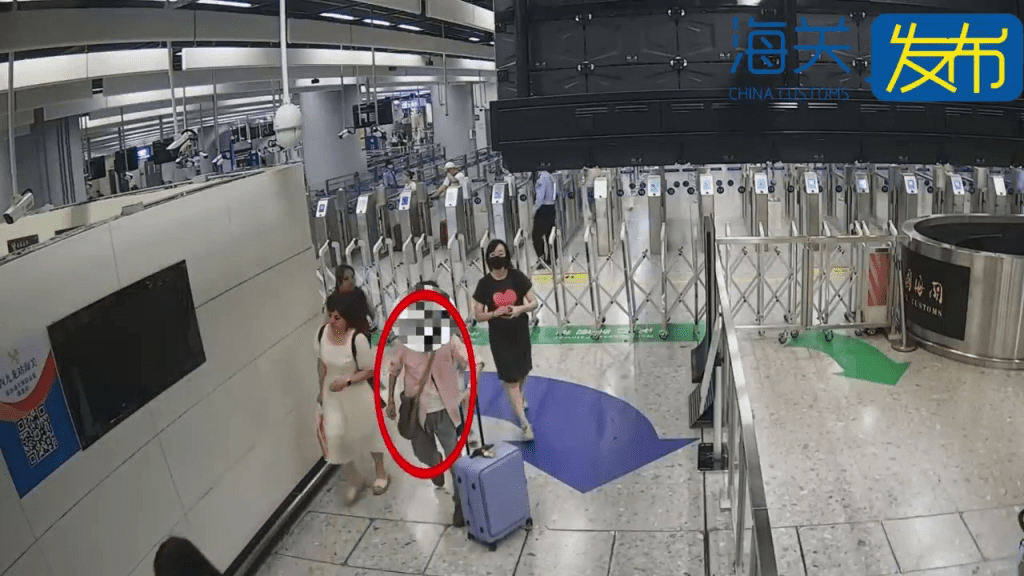 西九高鐵入境內地，男子行李傳刺鼻異味，關員揭「大麻扮茶葉」。 海關發佈