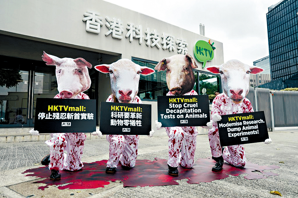 亞洲善待動物組織上周五到香港科技探索門外抗議，譴責該公司的動物「分體」實驗。